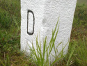 176.jpg