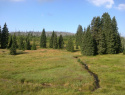 199.jpg