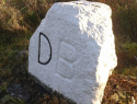 273.jpg