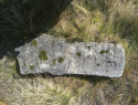 95.jpg