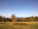165.jpg