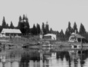 135.jpg