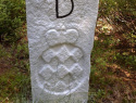 145.jpg