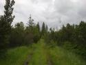 04.jpg