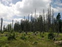 04.jpg