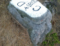 275.jpg