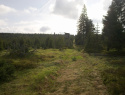05.jpg