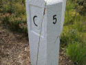 105.jpg