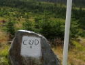 259.jpg