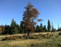 189.jpg