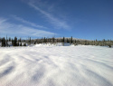 360.jpg