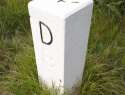113.jpg