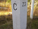 245.jpg