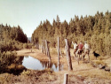 06.jpg