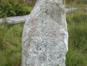 83.jpg