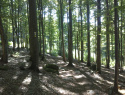 05.jpg