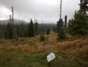 189.jpg