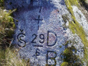 257.jpg