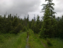 05.jpg