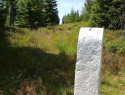 135.jpg