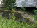 169.jpg