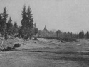 159.jpg